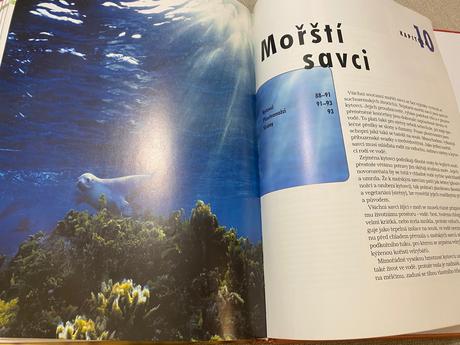 Savci vědomosti v kostce anatomie chování oblasti, 