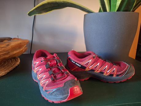 Salomon c.35, salomon,35