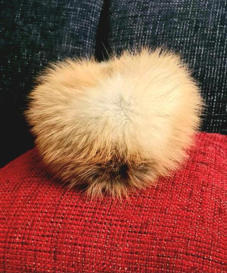 Kožušinová lodička, 56