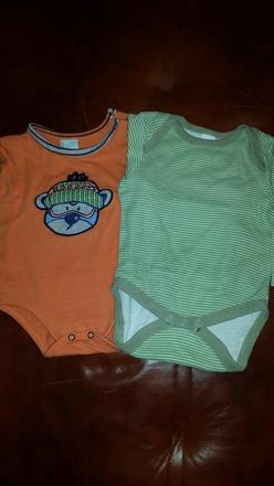 Body, coccodrillo,68