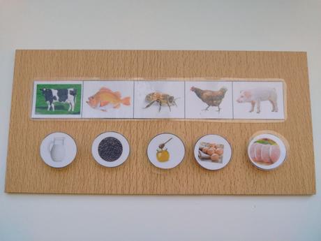 Edukačné aktivity montessori,