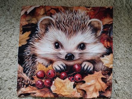 Obliečka na vankúš 45x45cm, šírka (cm): 45,dĺžka (cm): 40