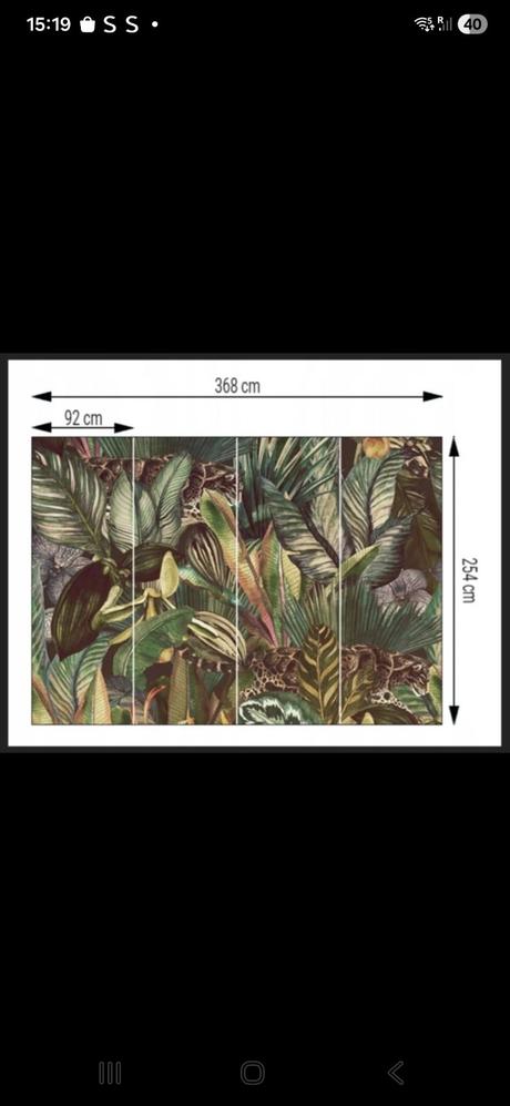 Fototapeta džungla, 