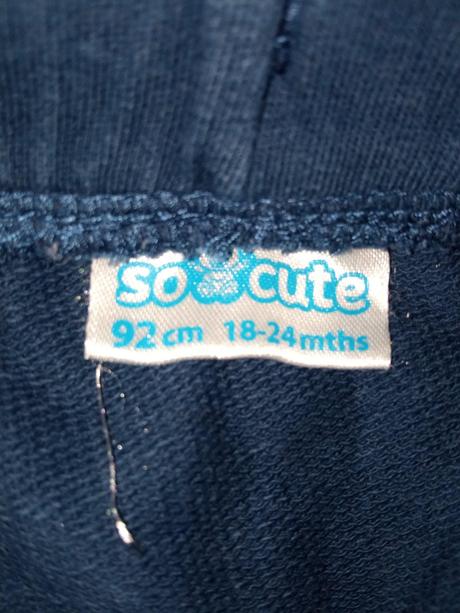 Chlapčenské pudlové tepláky (18-24 mes.), 92