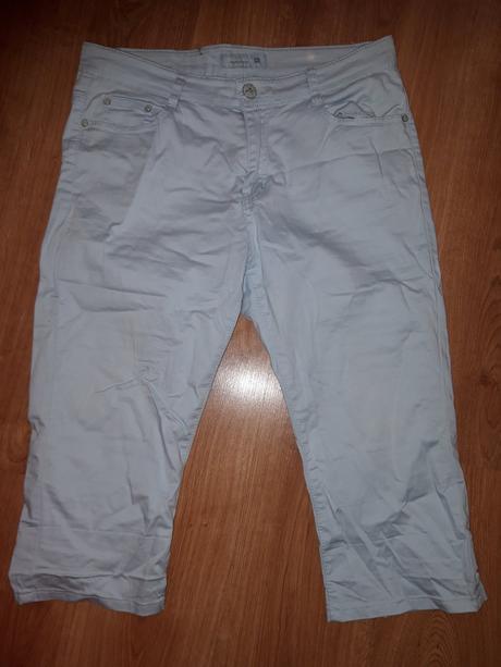 Bledomodre letne tristvrtaky l, l