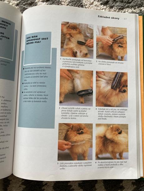 Všetko o psoch - don harper (1999),