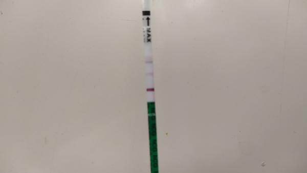 Toto je môj test. Som tehotná?