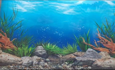 Tapeta obojstranná na akvárium, 